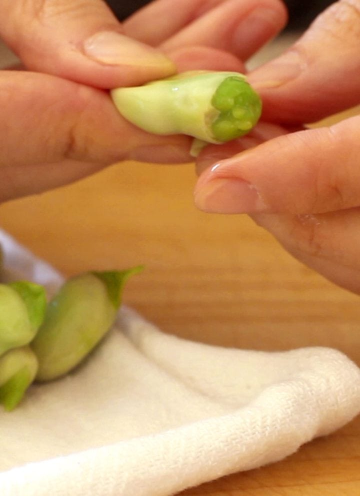 Two hands unshelling a fava bean by squeezing the bean from the waxy shell.
