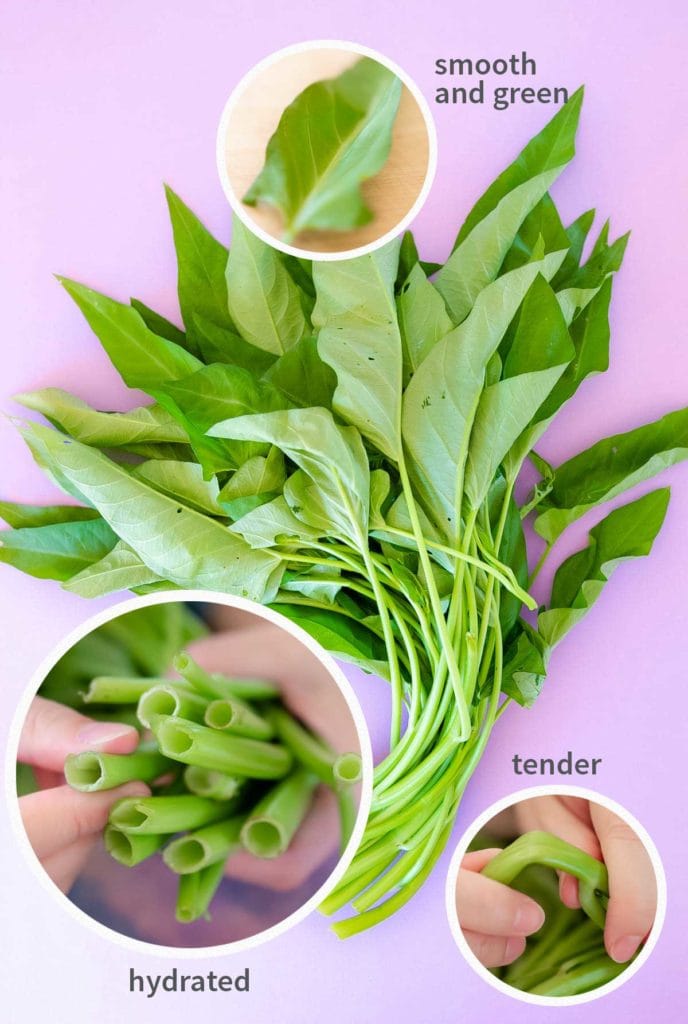 One bunch of fresh morning glory with showing visual cues to look for: hydrated stems, check for tender stems by bending them, and look for smooth green leaves.