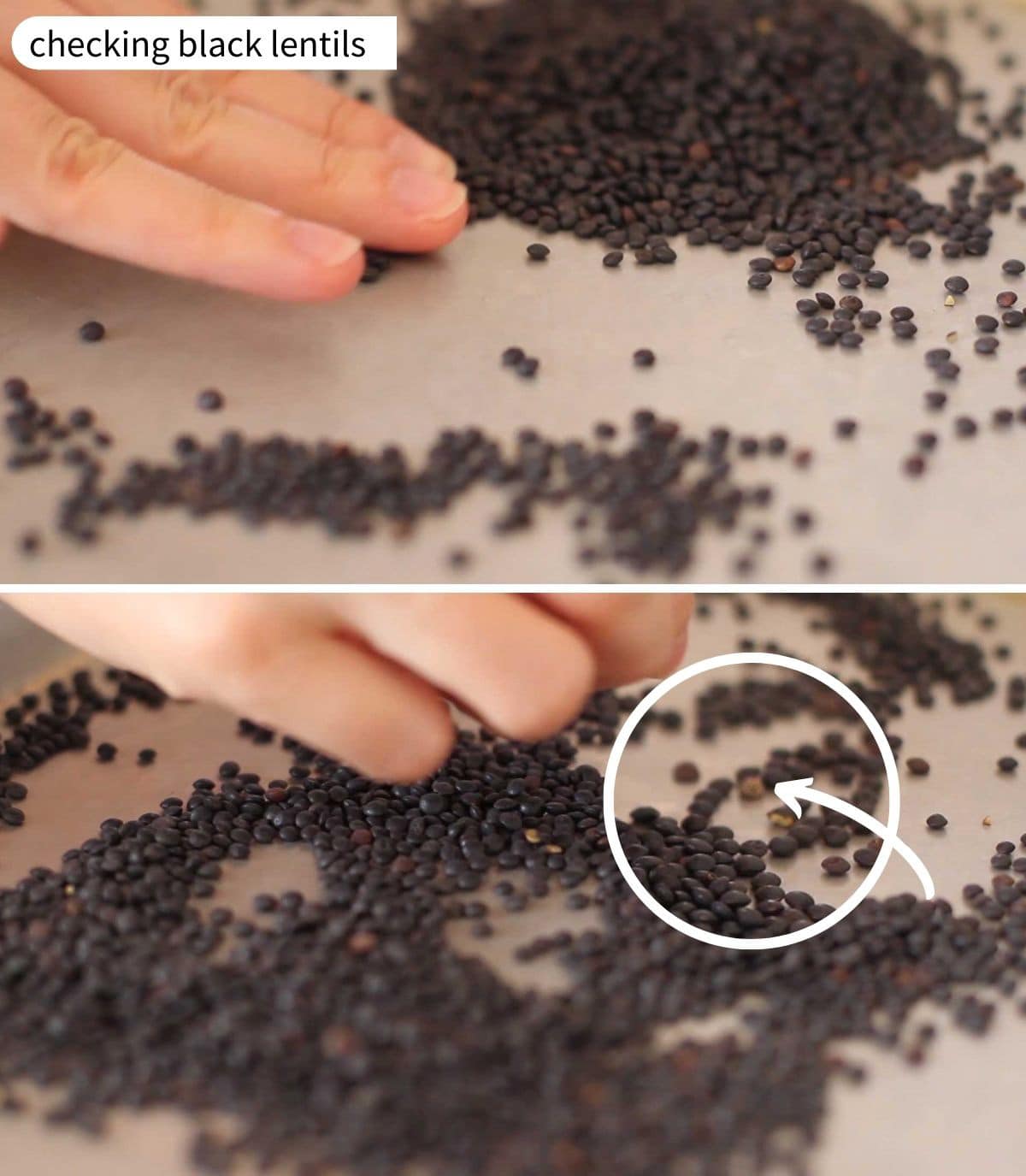Two close-up photos of a hand sorting through black lentils on a sheet tray with a circle around a small pebble and an arrow pointing it out.