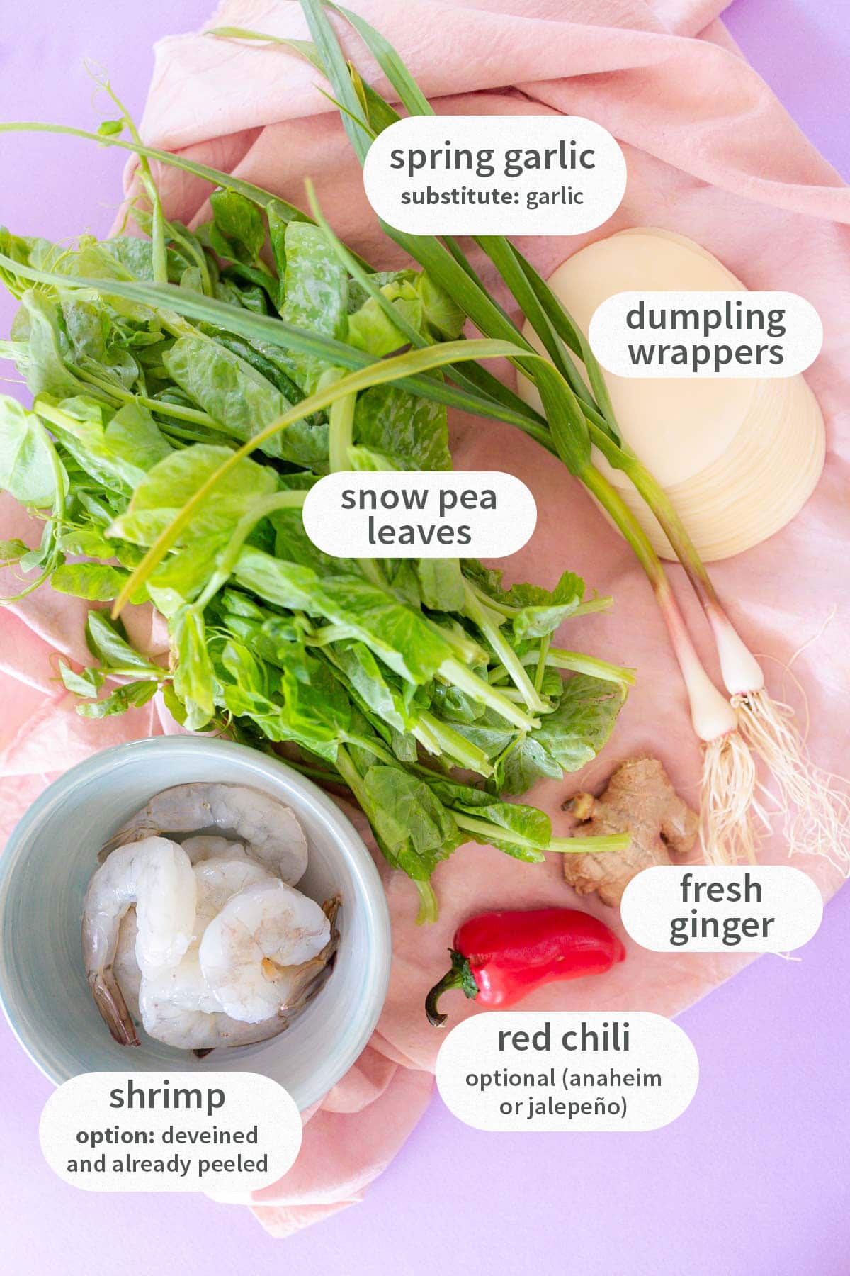 Top down view of labeled ingredients for snow pea leaves and shrimp dumplings: shrimp (option: deveined and already peeled), snow pea leaves, spring garlic (substitute: garlic), dumpling wrappers, fresh ginger, red chili (optional anaheim or jalepeño).