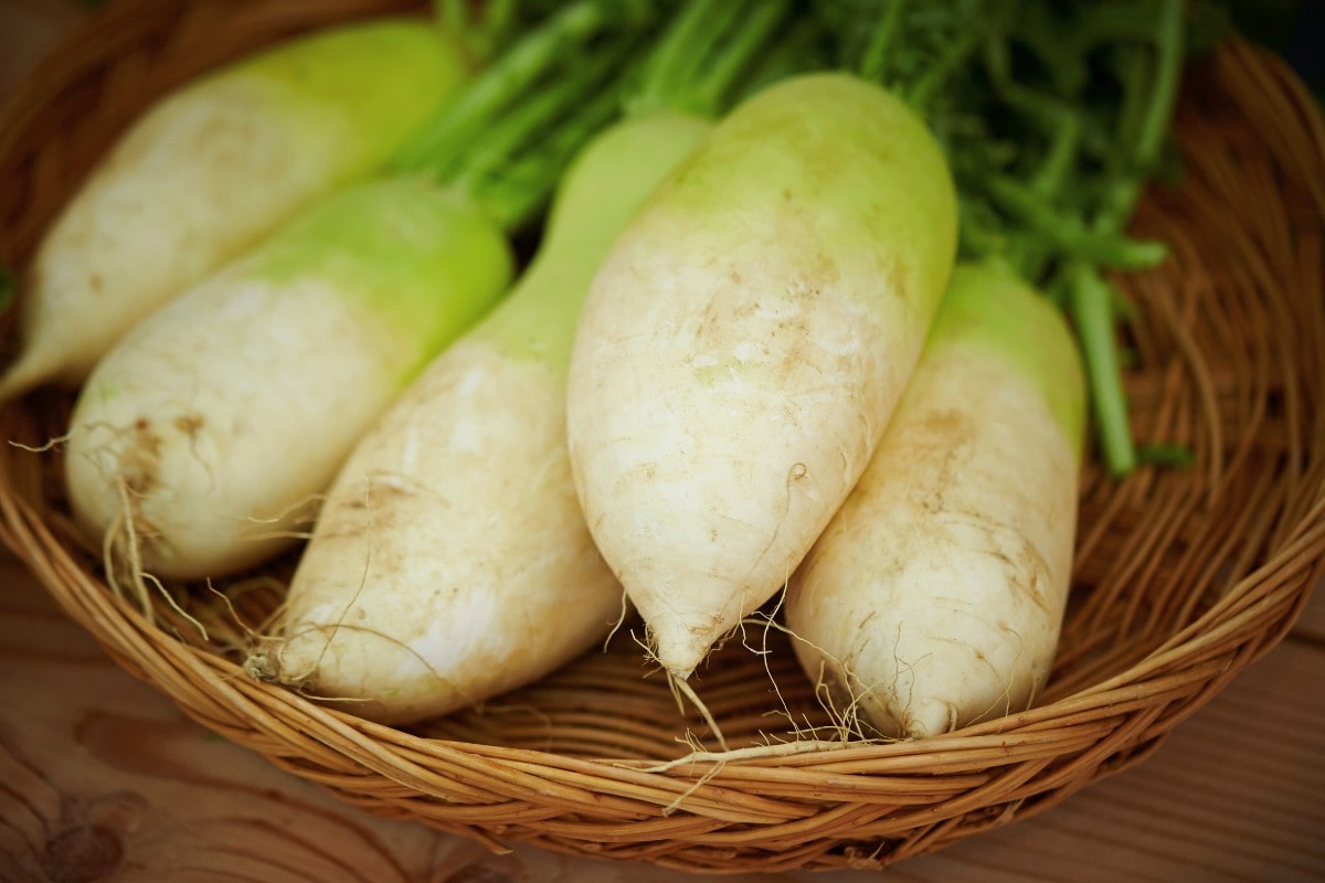 Five daikon radishes in a weaved basket.