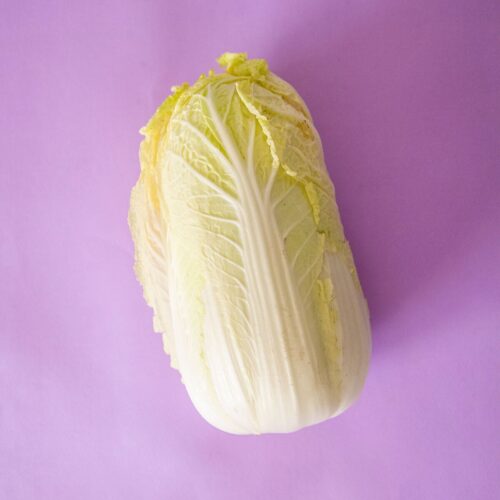 A head of napa cabbage over a pastel purple background.