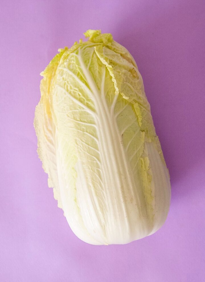 A head of napa cabbage over a pastel purple background.