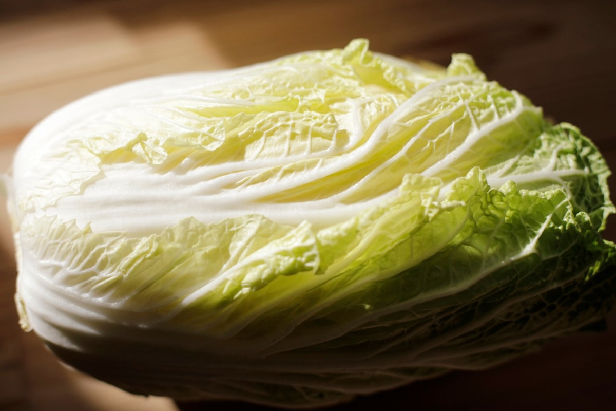 A head of sweet bok choy, looking similar to napa cabbage, on a wood surface.