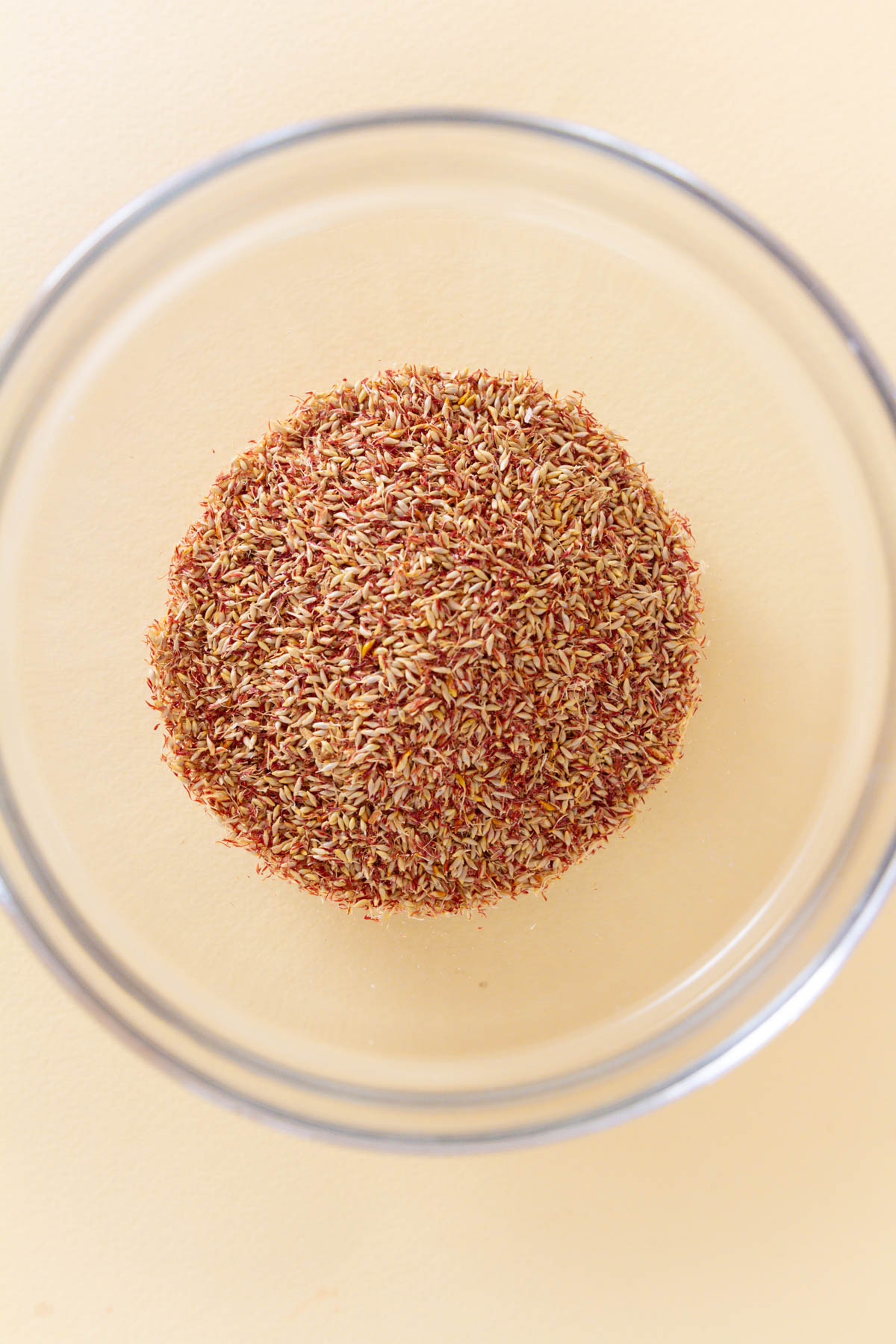 Top-down view of dried aiyu jelly fig seeds in a small, clear bowl over a pale yellow background.