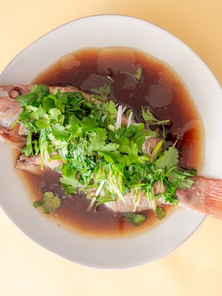 Top-down view of a steamed Chinese fish on a white plate surrounded with sauce and topped with fresh cilantro, scallions and ginger.