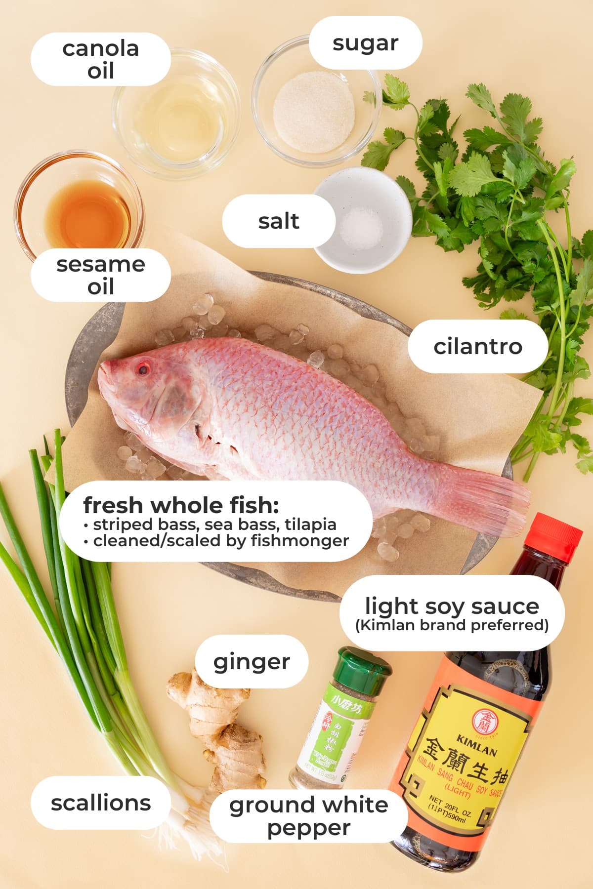 Steamed Chinese fish ingredients laid out on a yellow background and individually labeled.