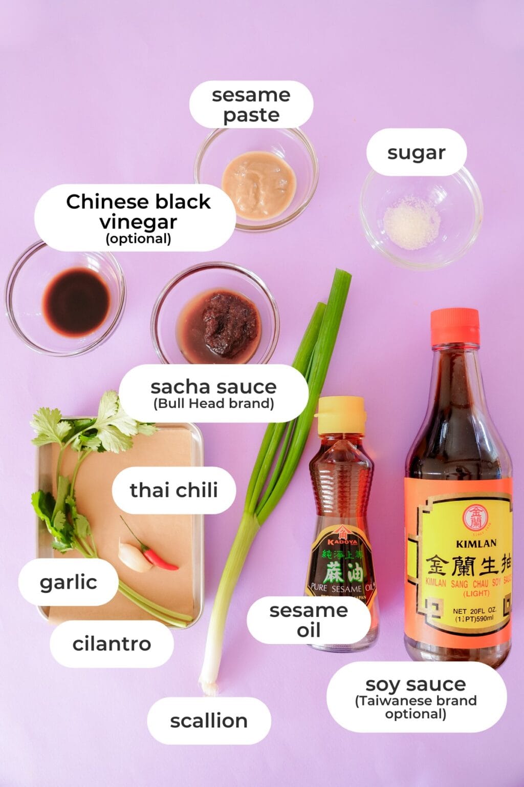 hotpot sauces (top dippings sauces from a chef)