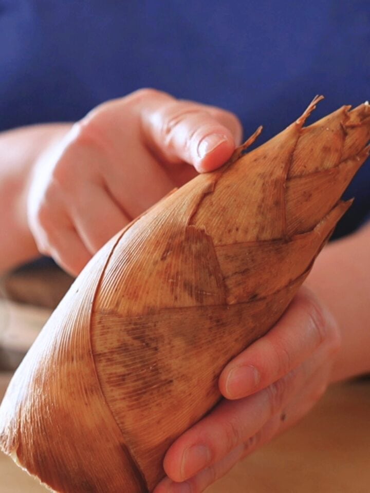 Cindy holding a winter bamboo shoot in both hands. The bamboo shoot is brown, slightly curved, with a pointed tip.