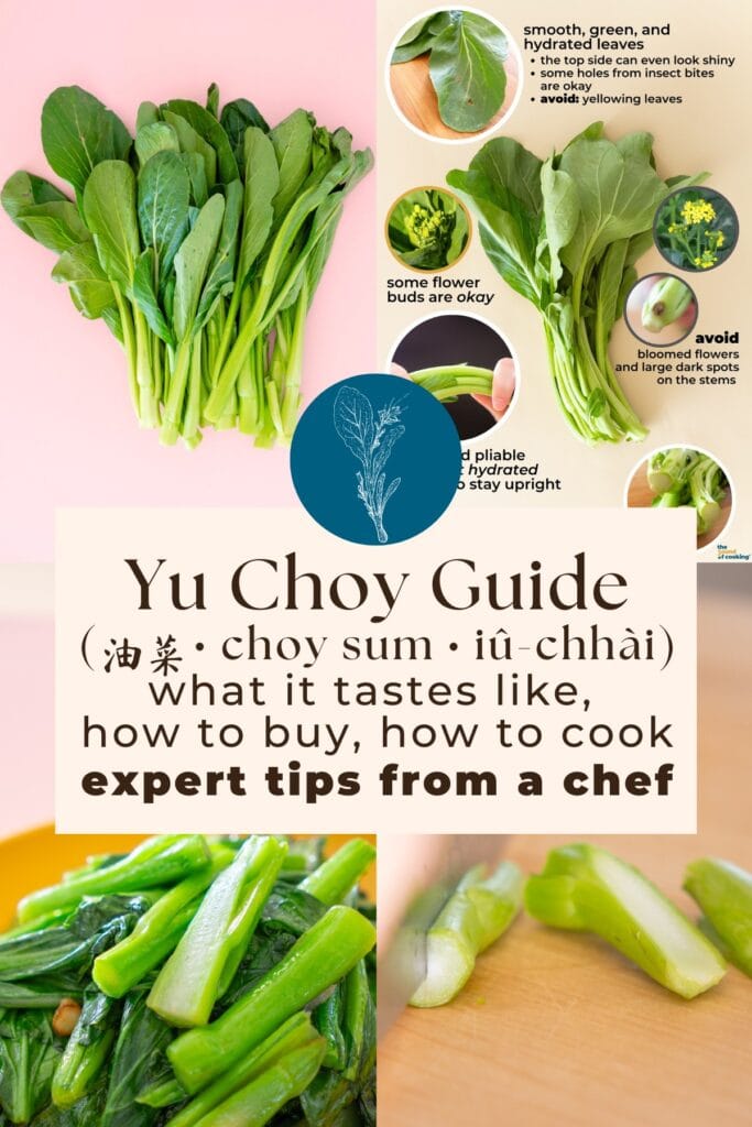 choy sum (yu choy) chef’s guide - how to cook, buy, prep