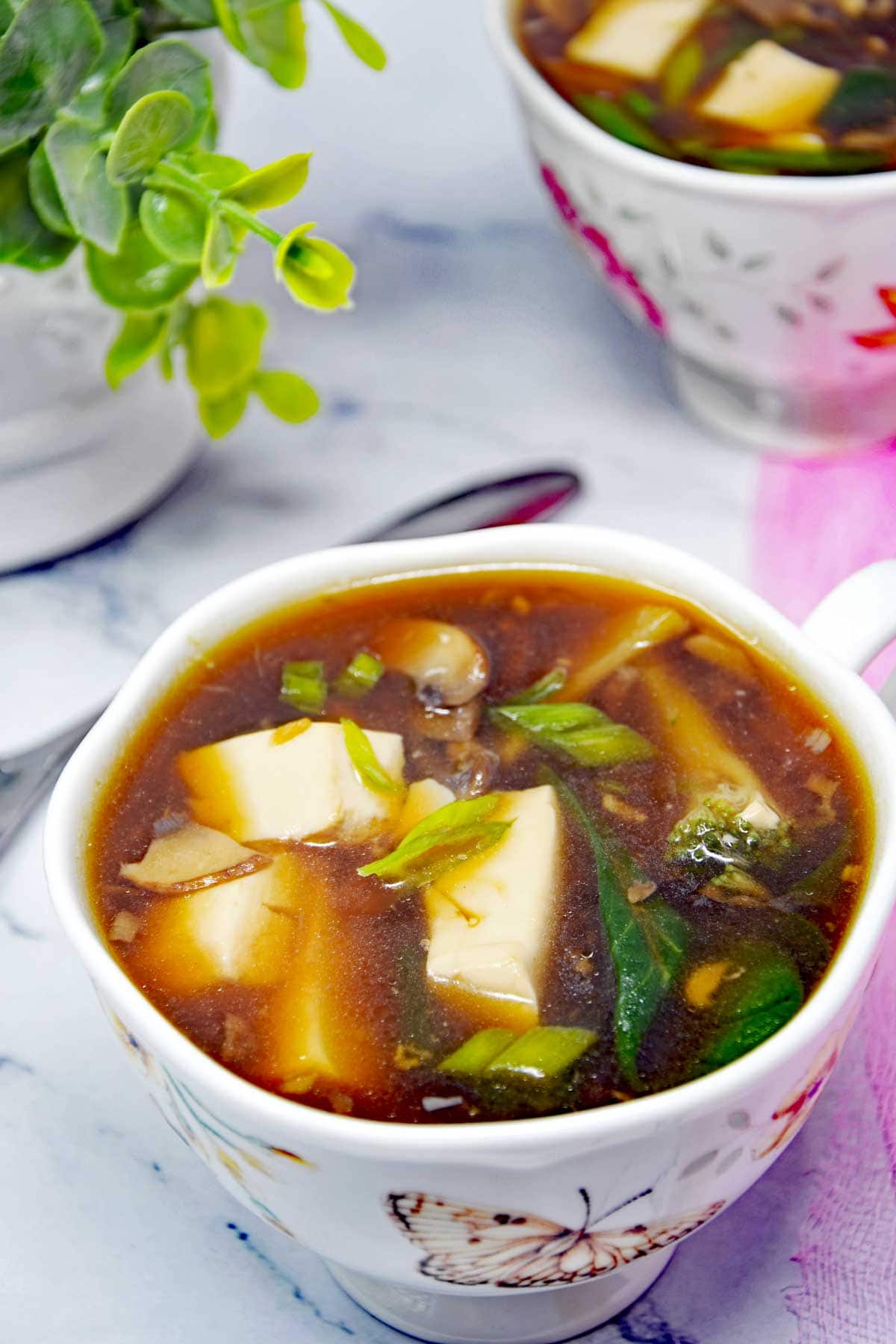 A bowl of soup with tofu, mushrooms, greens, and green onions, placed on a marble surface beside a potted plant. Another bowl is partially visible in the background.