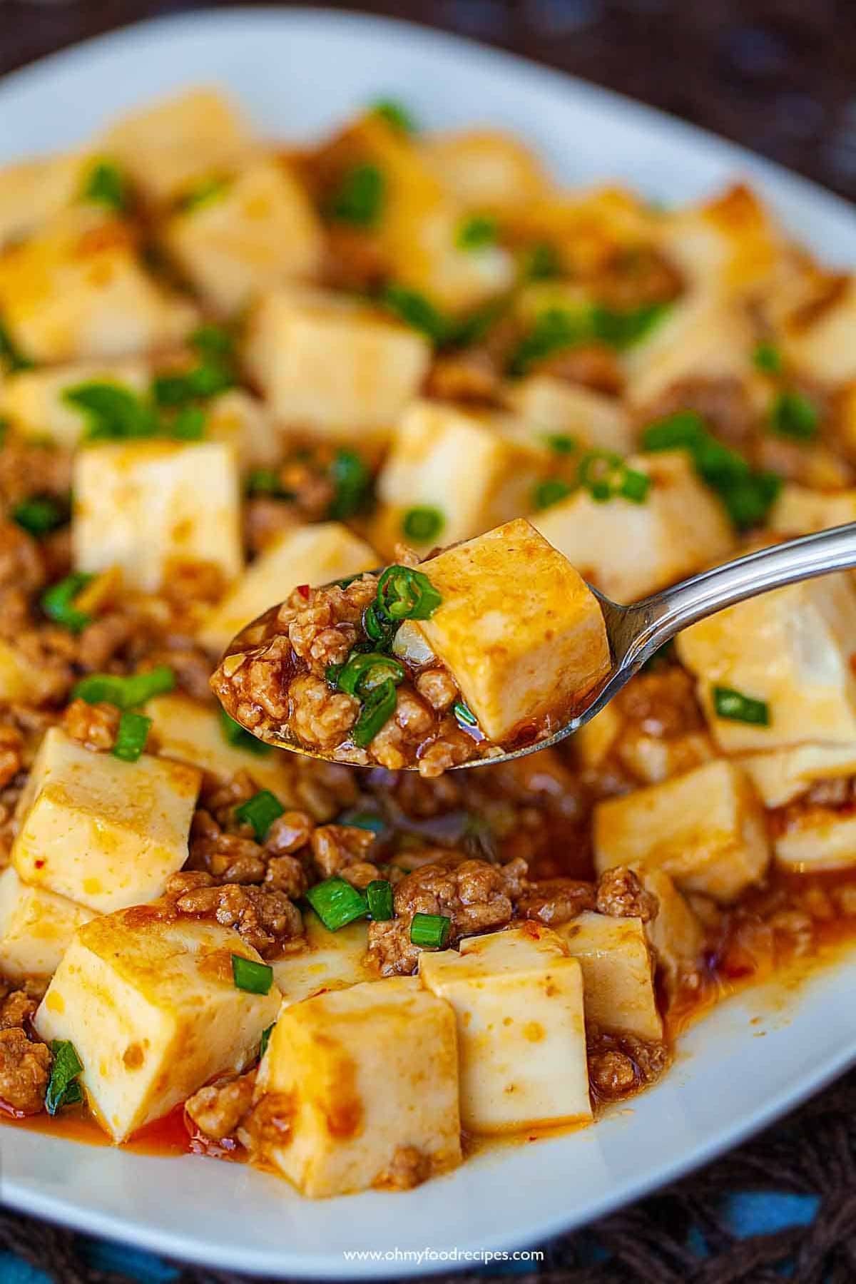 A close-up of Chinese-style mapo tofu, showing soft tofu cubes and ground meat in a spicy sauce, garnished with chopped green onions on a white plate.
