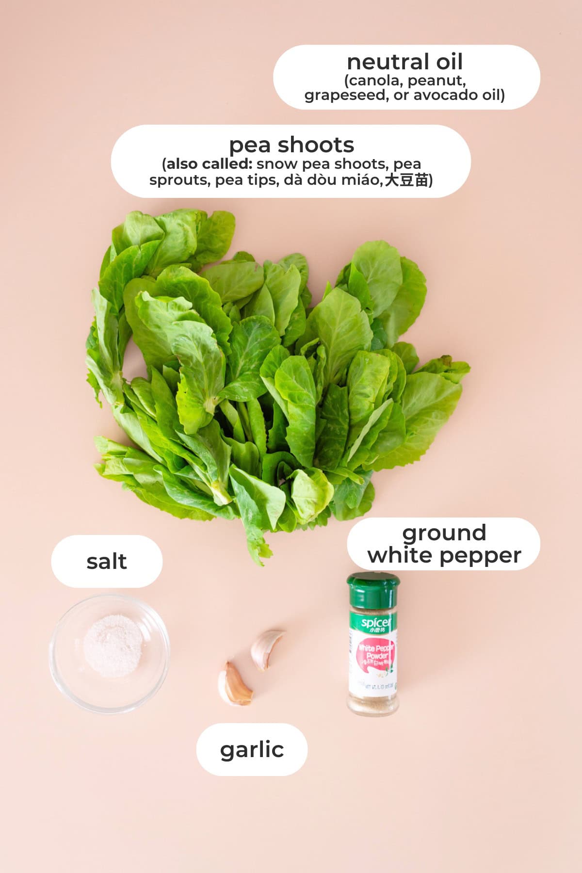 Labeled stir-fried pea shoots ingredients on a peach background: pea shoots (and its other names), neutral oil, ground white pepper, salt, and garlic cloves.