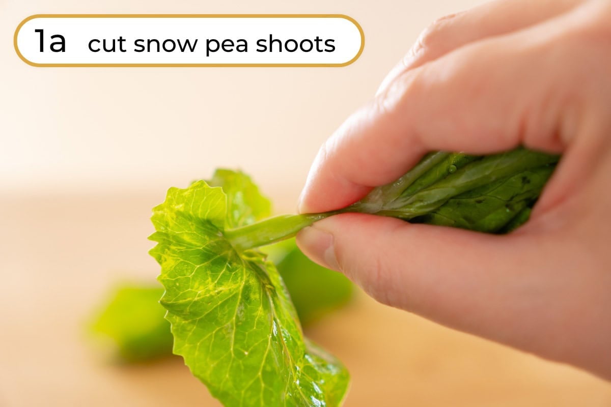 Cut pea shoots step 1a - Cindy holding a pea shoot and pinching the middle of the stem to show where to break it into smaller pieces, with text reading "1a cut snow pea shoots" in the upper left corner.