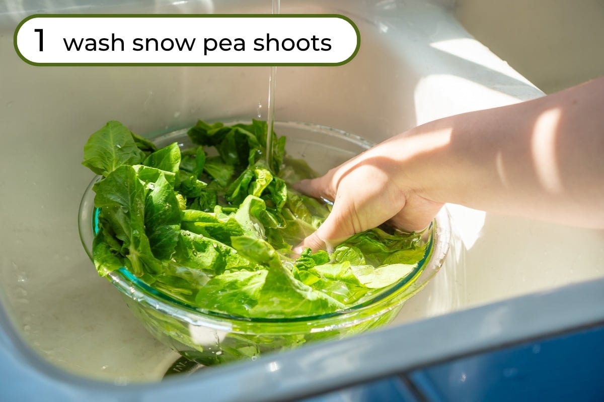 Wash pea shoots step 1 - washing snow pea shoots in a glass bowl filled with water in a kitchen sink, with text "1 wash snow pea shoots" in the upper left corner.