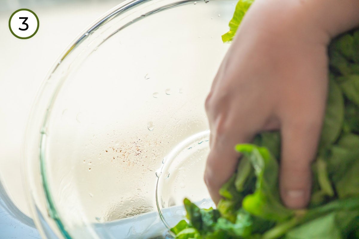 Wash pea shoots step 3 - Cindy holding rinsed pea shoots to once side of the large glass mixing bowl to show the grit and dirt at the bottom of the bowl.