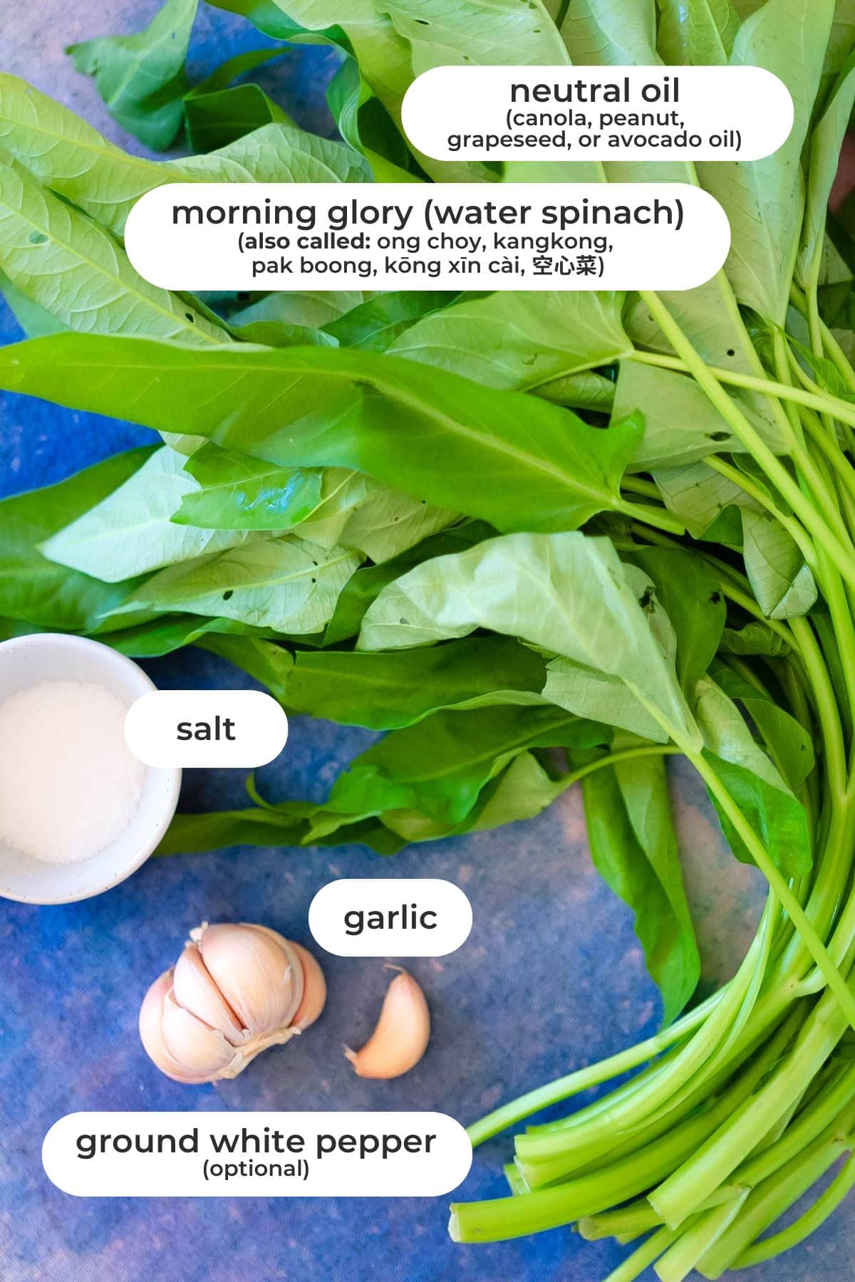 Labeled stir-fried morning glory recipe ingredients on a gradient blue background: morning glory (water spinach, ong choy, and its other names), neutral oil, garlic cloves, salt, and optional ground white pepper.